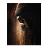 Colossal Images - Close Up Canvas Wall Art - Multi-color