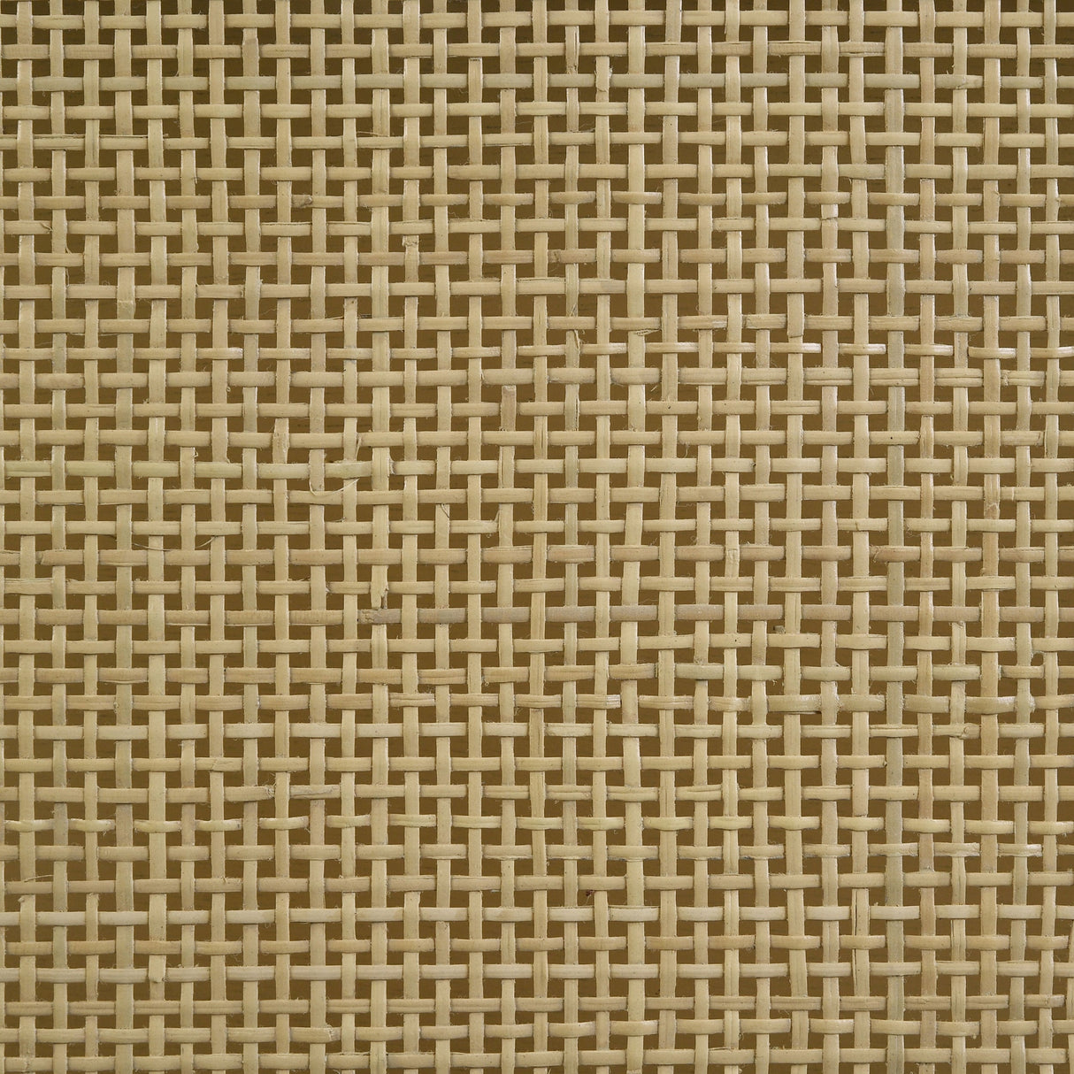 1190829823