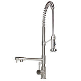 Stainless Steel Coil Spring Pull-out Sprayer Dual Spout Kitchen Faucet