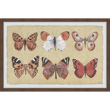 Complex Pattern Framed Print