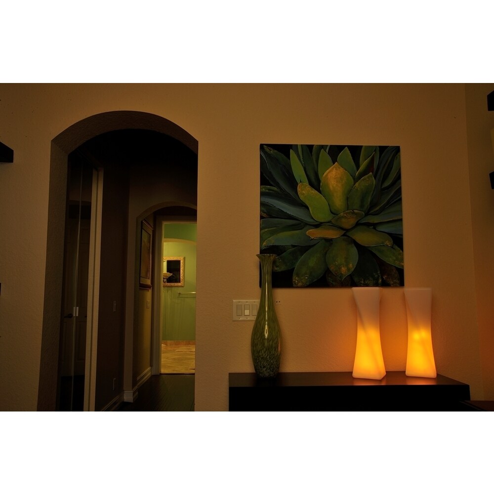 Contempo Lights LuminArt Xanadu LED Color-Changing Floor Lamp with Remote