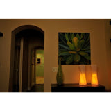Contempo Lights LuminArt Xanadu LED Color-Changing Floor Lamp with Remote