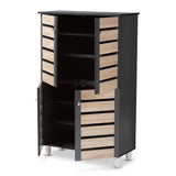 Contemporary Shoe Storage Cabinet