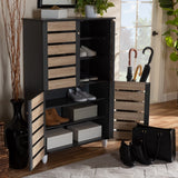 Contemporary Shoe Storage Cabinet