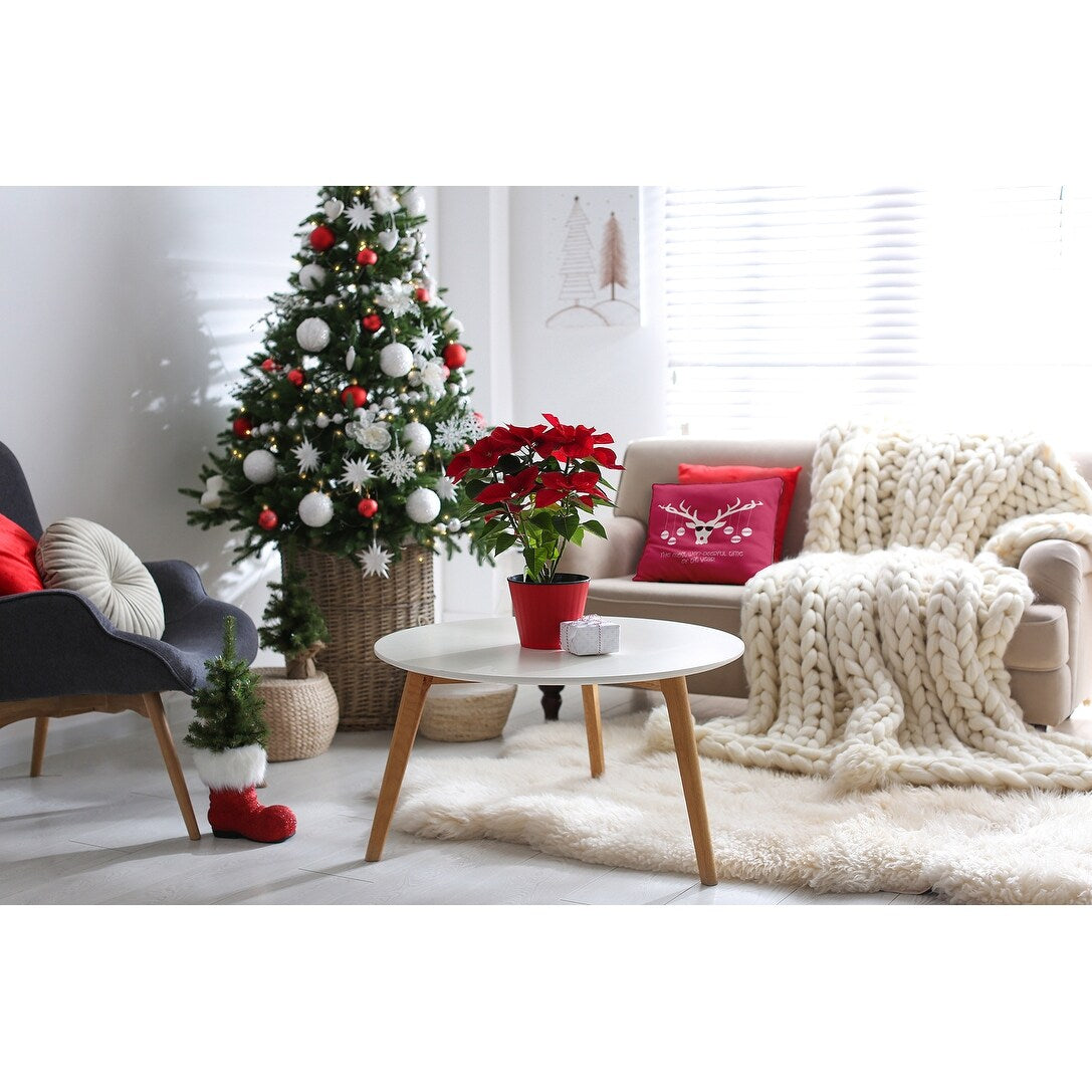 Cool Christmas Deer Accent Pillow