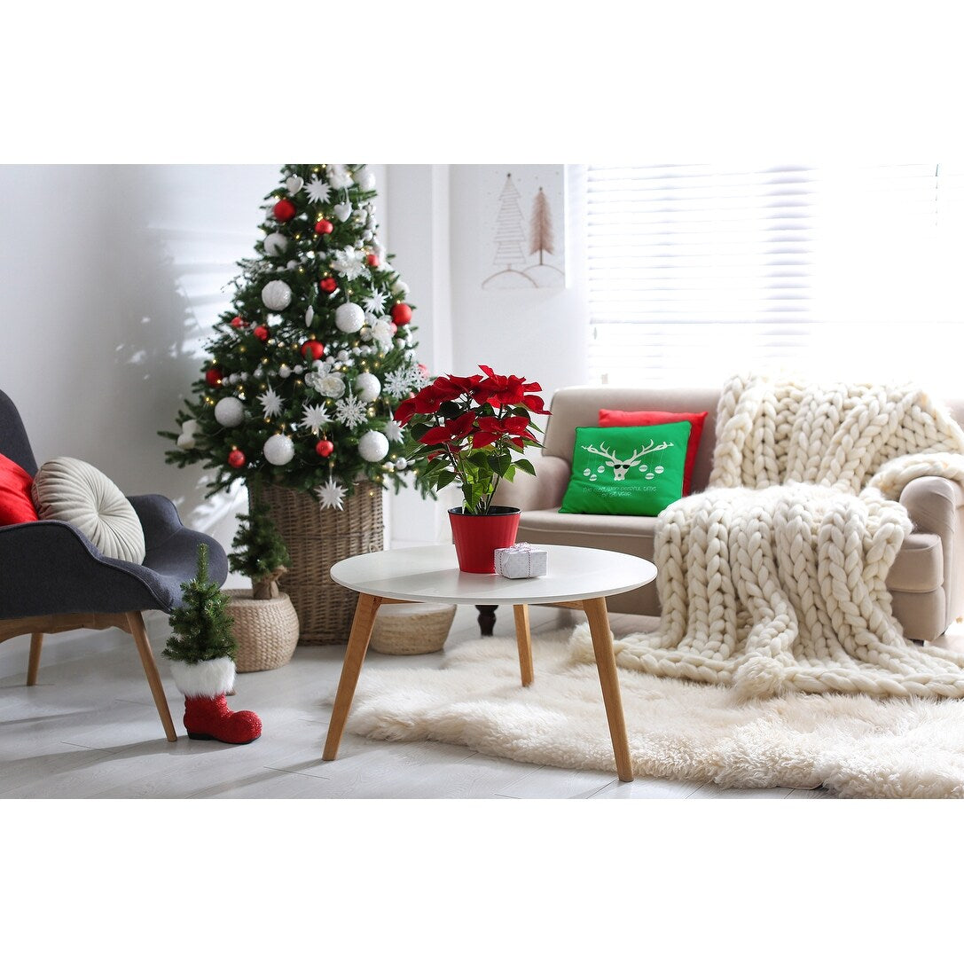 Cool Christmas Deer Accent Pillow
