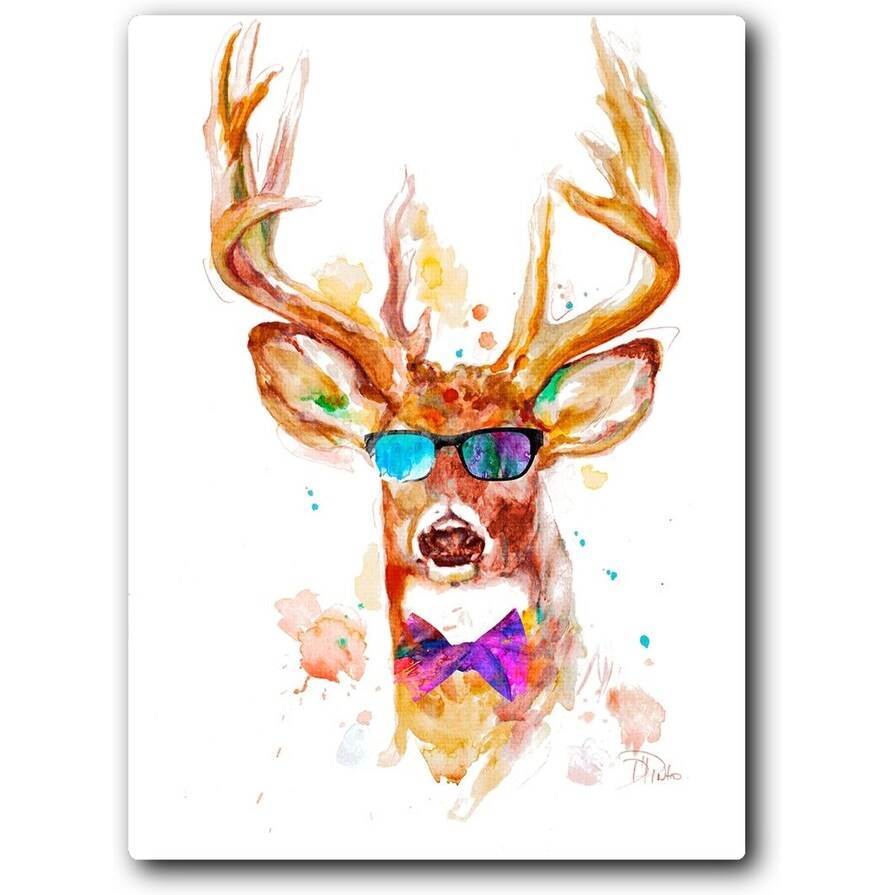 Cool Stag 16x20 Gallery Wrapped Stretched Canvas