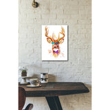 Cool Stag 16x20 Gallery Wrapped Stretched Canvas