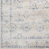 Copper Grove Wageningen Distressed Medallion Pattern Area Rug