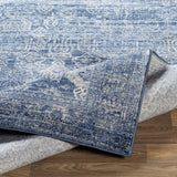 Copper Grove Wageningen Distressed Medallion Pattern Area Rug
