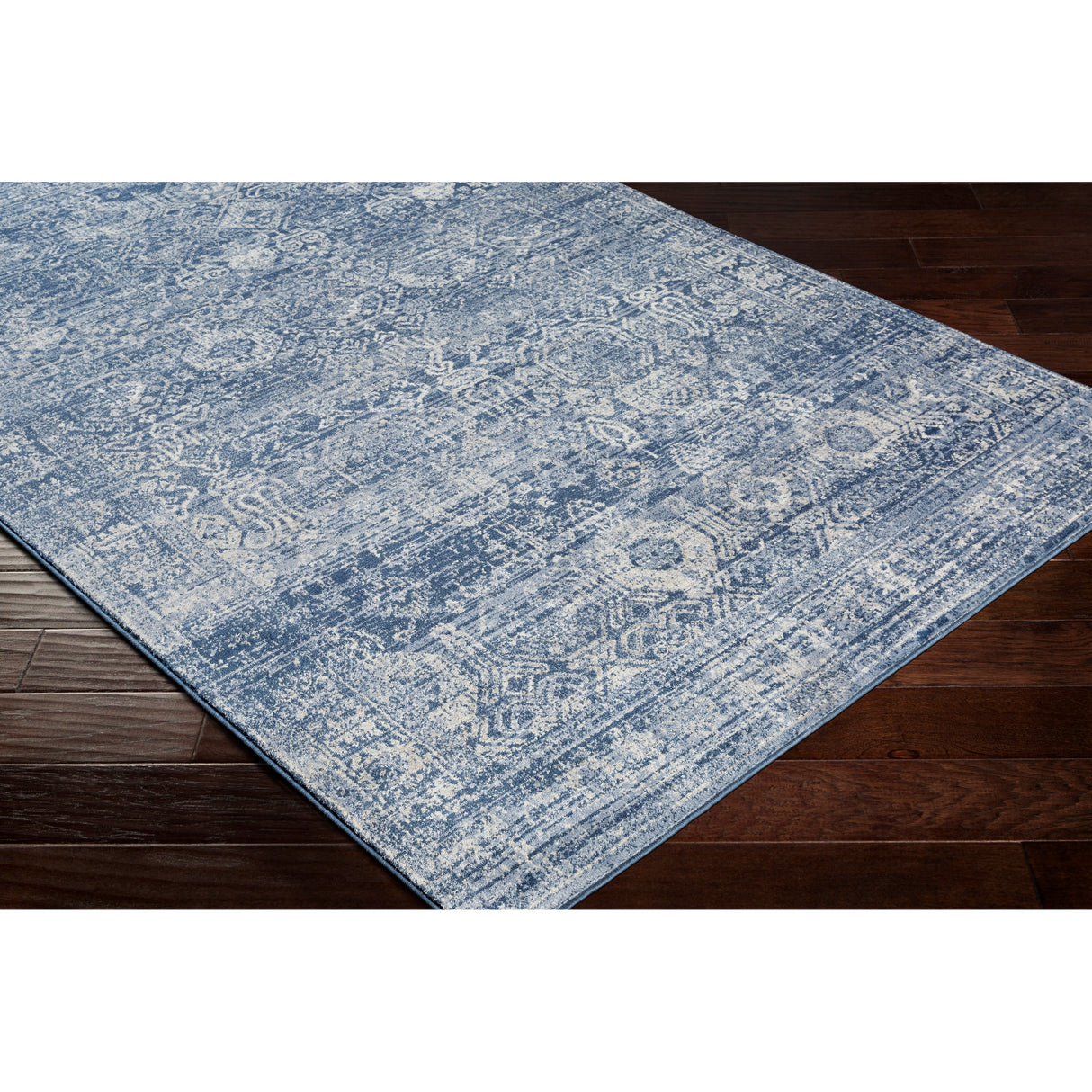 Copper Grove Wageningen Distressed Medallion Pattern Area Rug