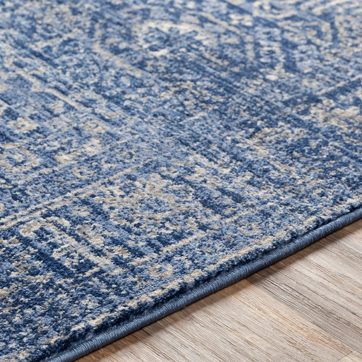 Copper Grove Wageningen Distressed Medallion Pattern Area Rug
