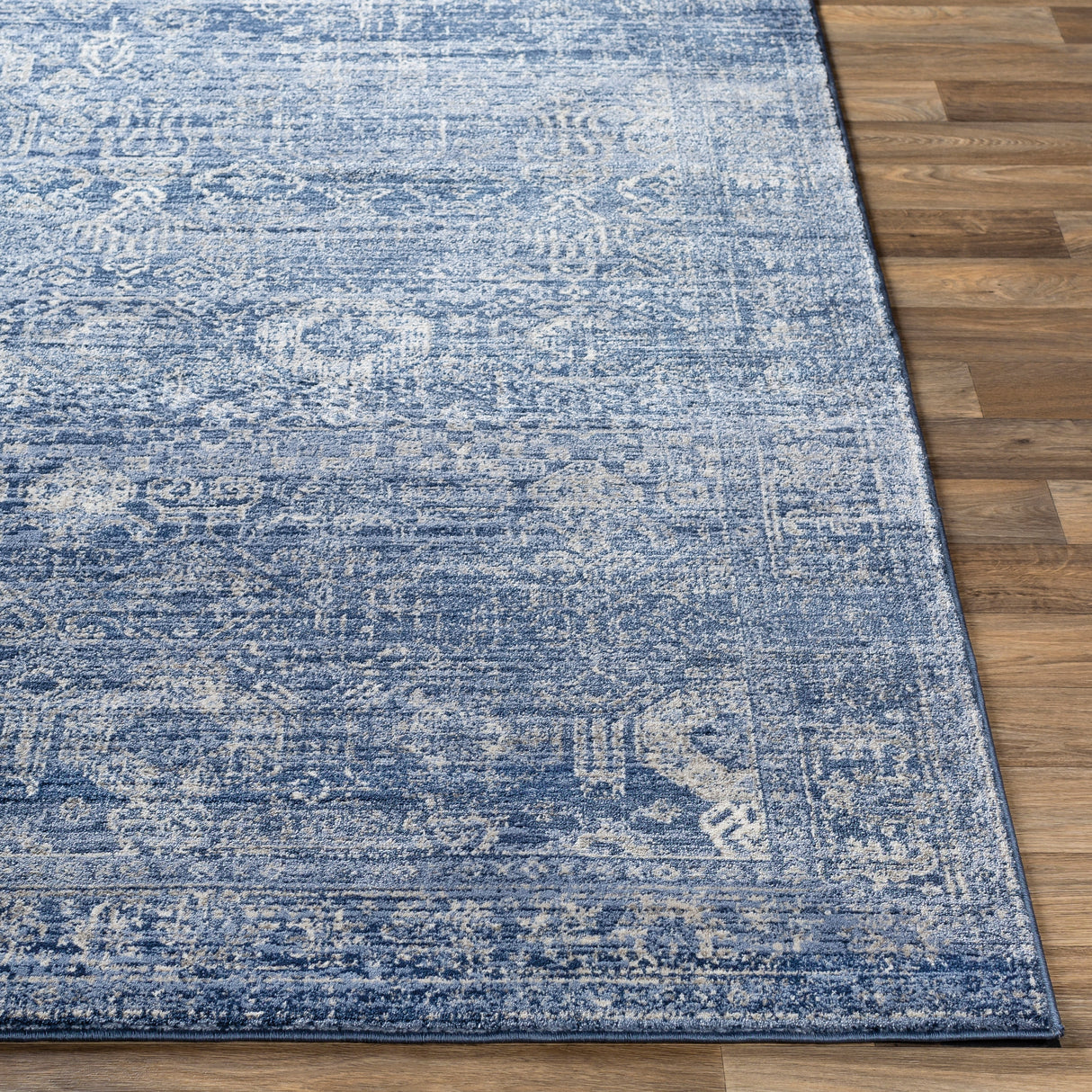 Copper Grove Wageningen Distressed Medallion Pattern Area Rug