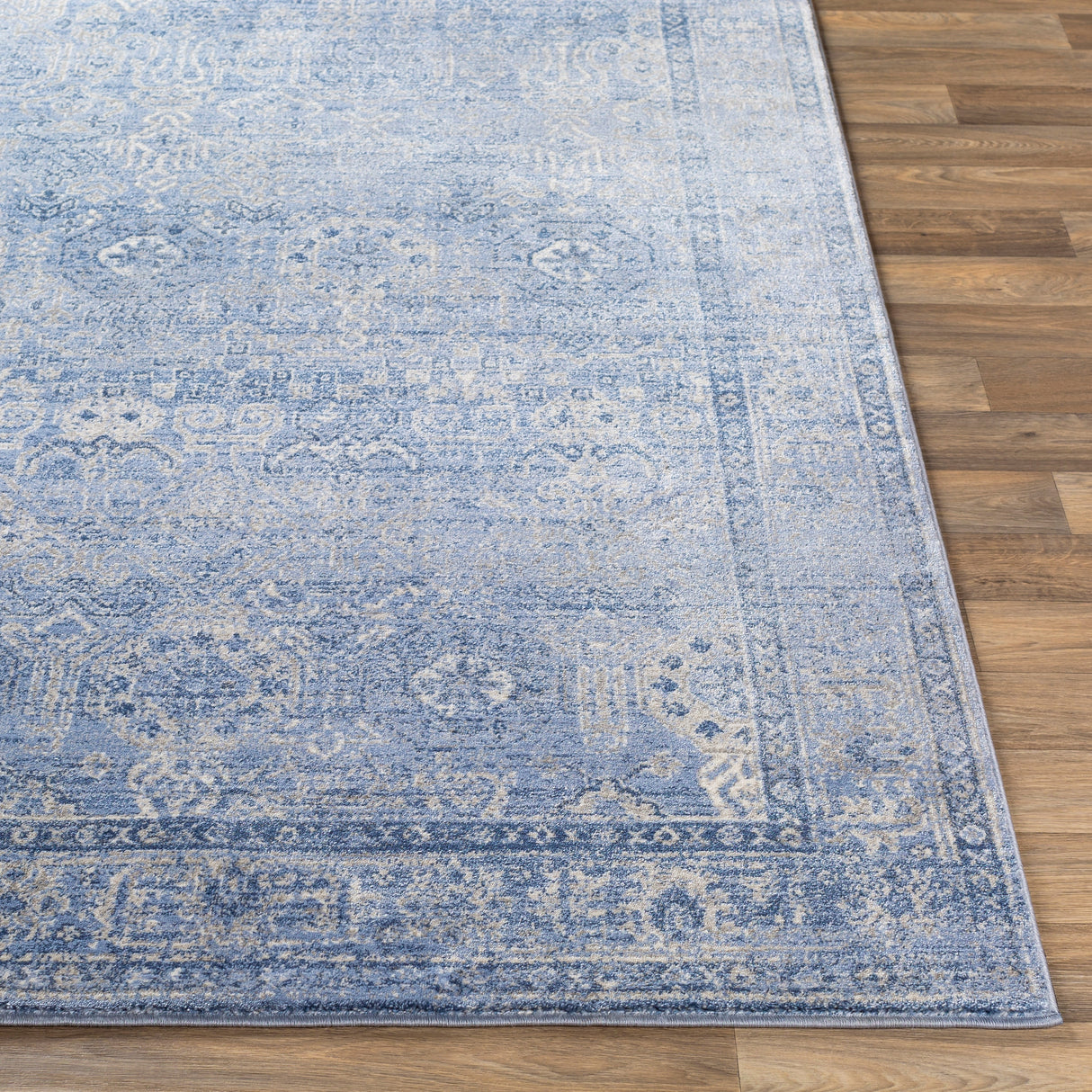 Copper Grove Wageningen Distressed Medallion Pattern Area Rug