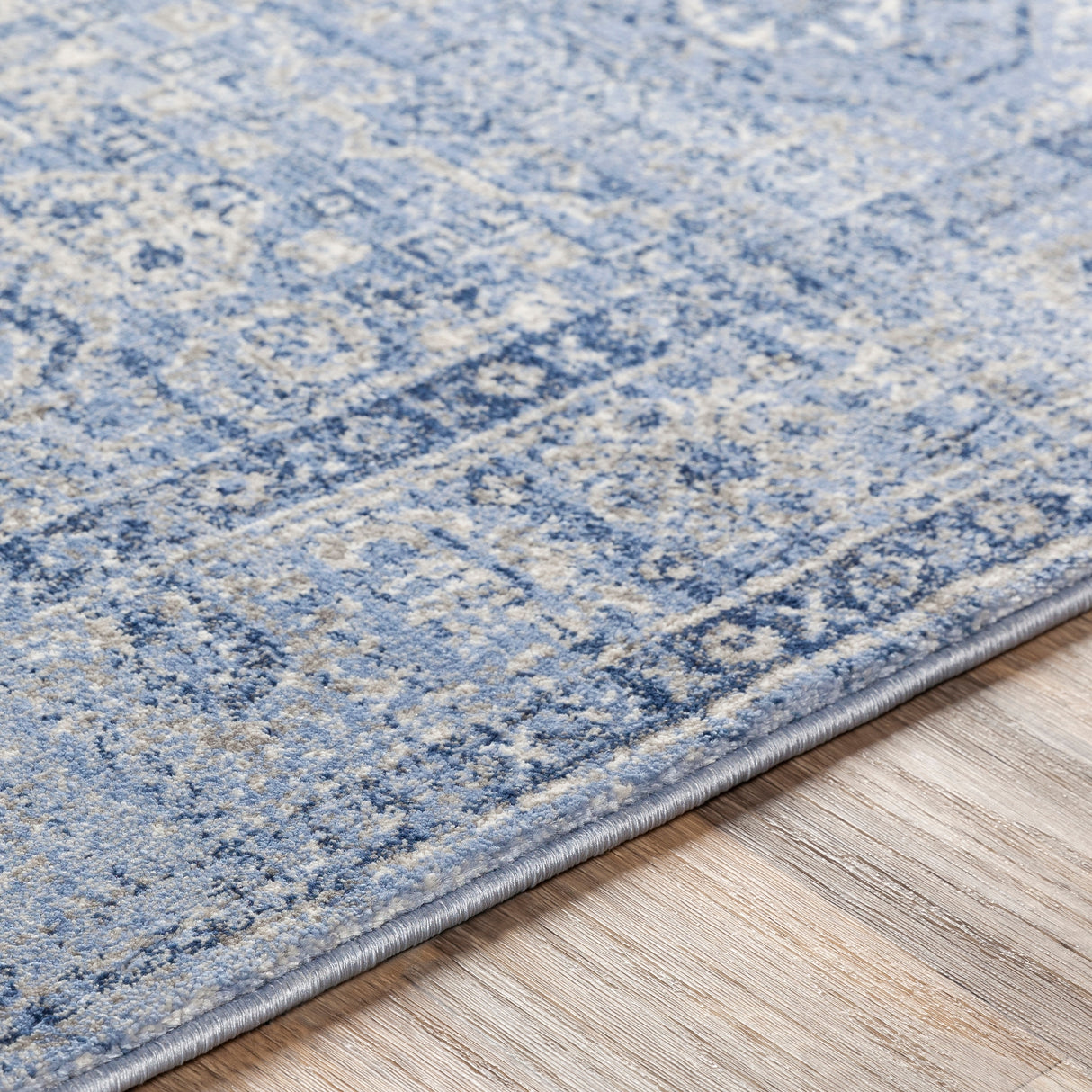 Copper Grove Wageningen Distressed Medallion Pattern Area Rug