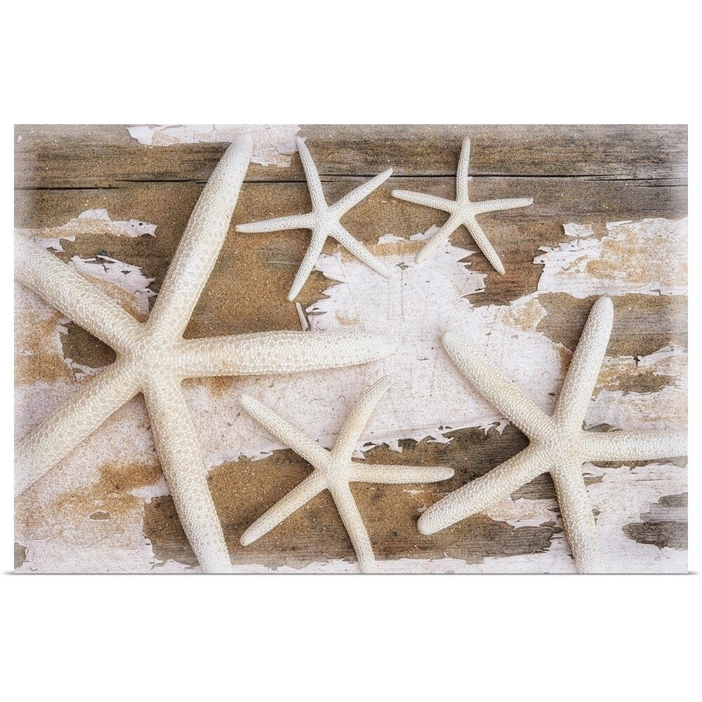 Cora Niele Poster Print entitled Beach Finds II - Multi