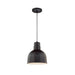 Millennium Lighting R Series 10" Cord Hung Indoor/Outdoor Deep Bowl Shade