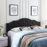 Cordeaux Contemporary Upholstered Headboard by Christopher Knight Home