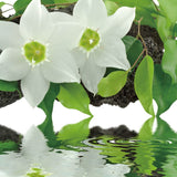 Cortesi Home 'Peaceful Reflections I' Tempered Glass 12-inch x 12-inch Wall Art