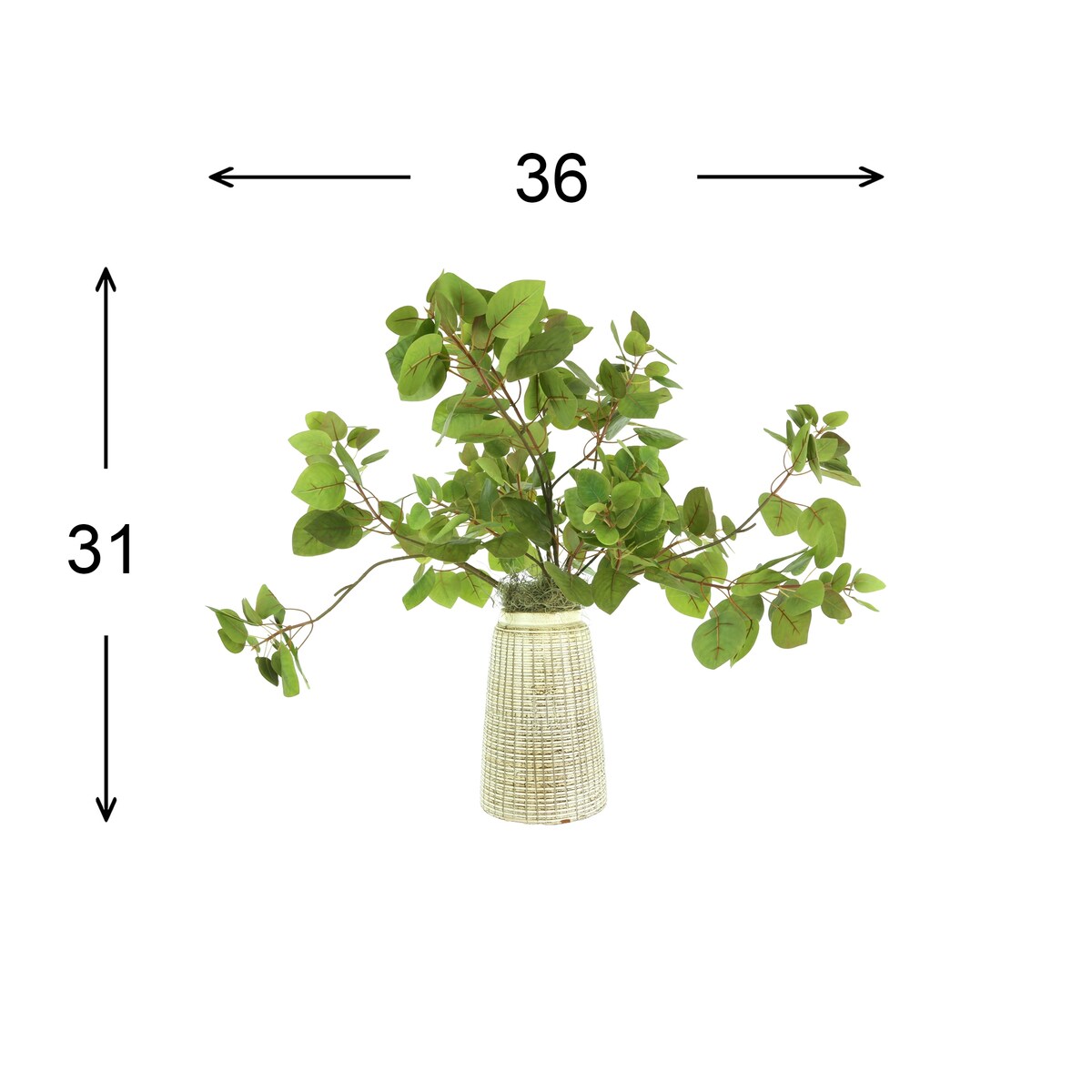 Cotinus Arrangement in a Ceramic Pot - Green