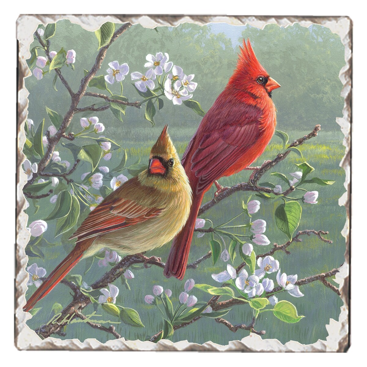 Counterart Absorbent Stone Coasters - Cardinals #1 - Set of 4 - 4x4x4