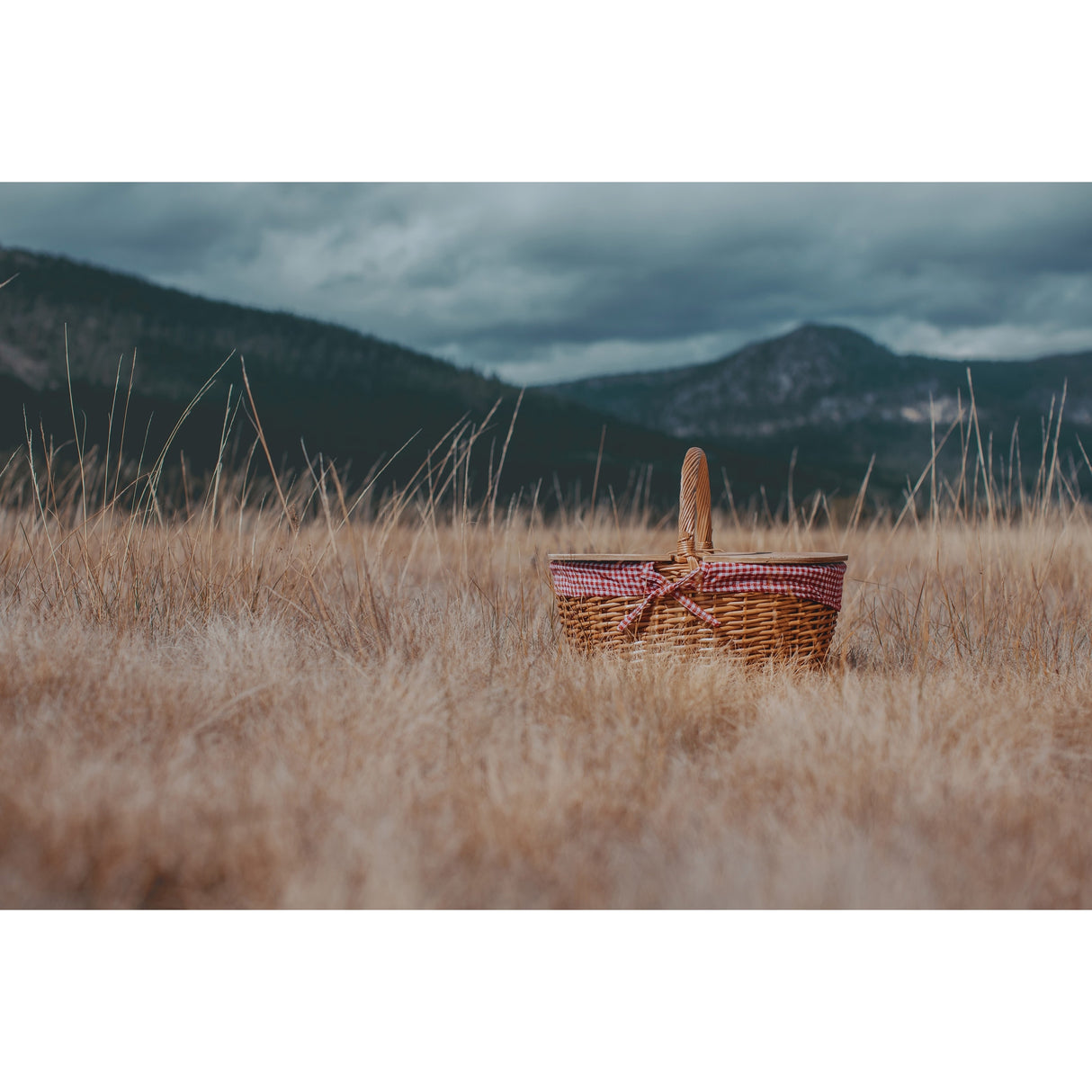 Country Picnic Basket, (Red & White Gingham Pattern) - N/A