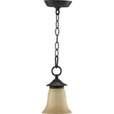 Coventry 1-Light Mini-Pendant Toasted Sienna Bronze Finish, Rustic Style, 100 watts max.