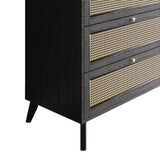 CraftPorch Mid-Century Modern Black Chest