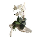 Cream 21-inch Real Touch Orchid on Branch - Multi