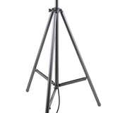 Credence Floor Lamp