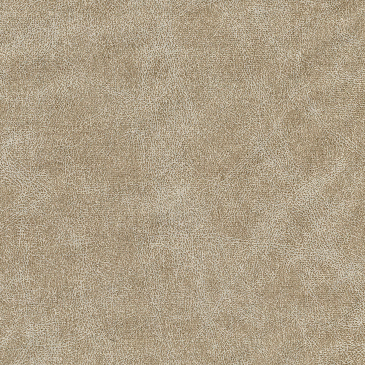 1187854661