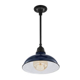 Croydon 12.25" 1-Light Farmhouse Industrial Indoor/Outdoor Iron LED Pendant, by JONATHAN Y - 12.25