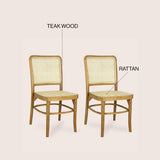 Cukor Mid-Century Vintage Wood Rattan Dining Chair, Natural (Set of 2) by JONATHAN Y