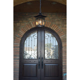 Cullen 1 Light Hanging Exterior Lighting in Imperial Black Finish