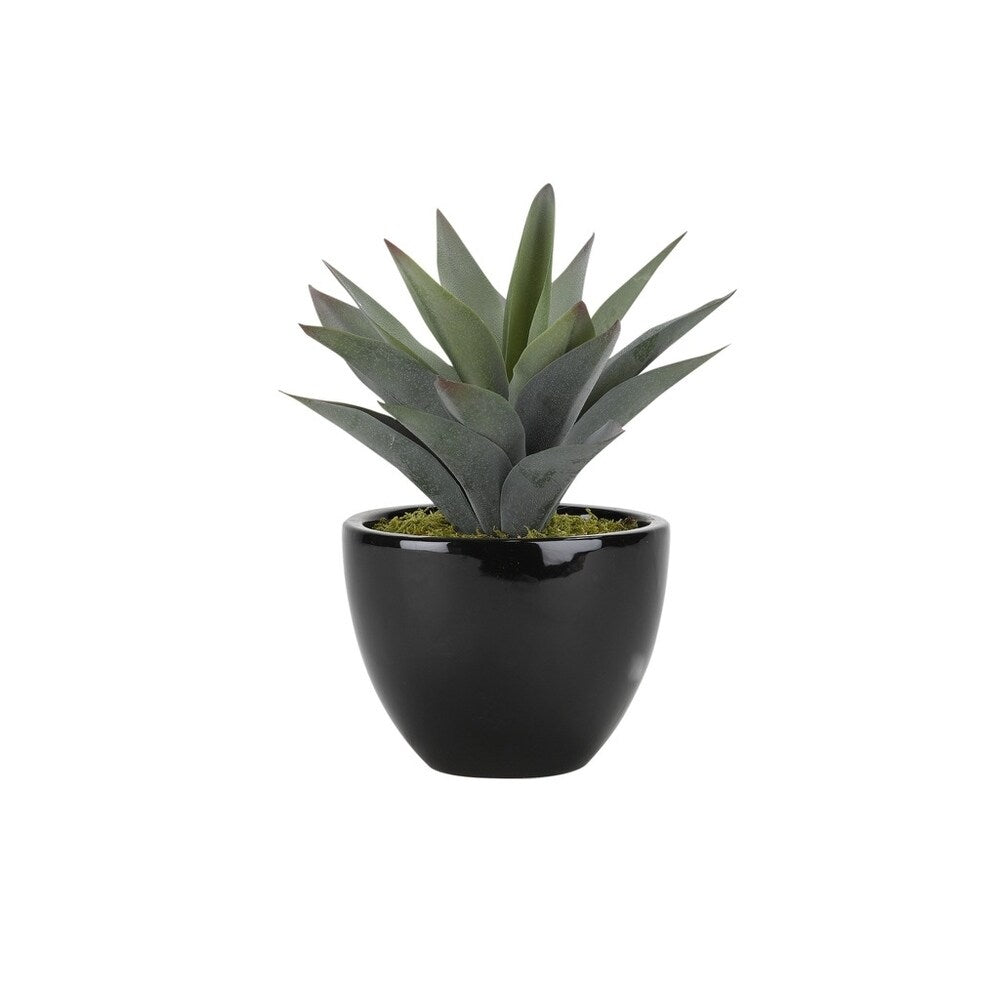 D&W Silks Large Aloe Plant in Round Ceramic Planter - Green