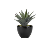 D&W Silks Large Aloe Plant in Round Ceramic Planter - Green