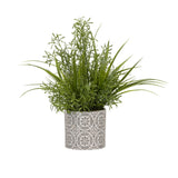 D&W Silks Wild Asparagus and Grass in Round Cement Planter - Green