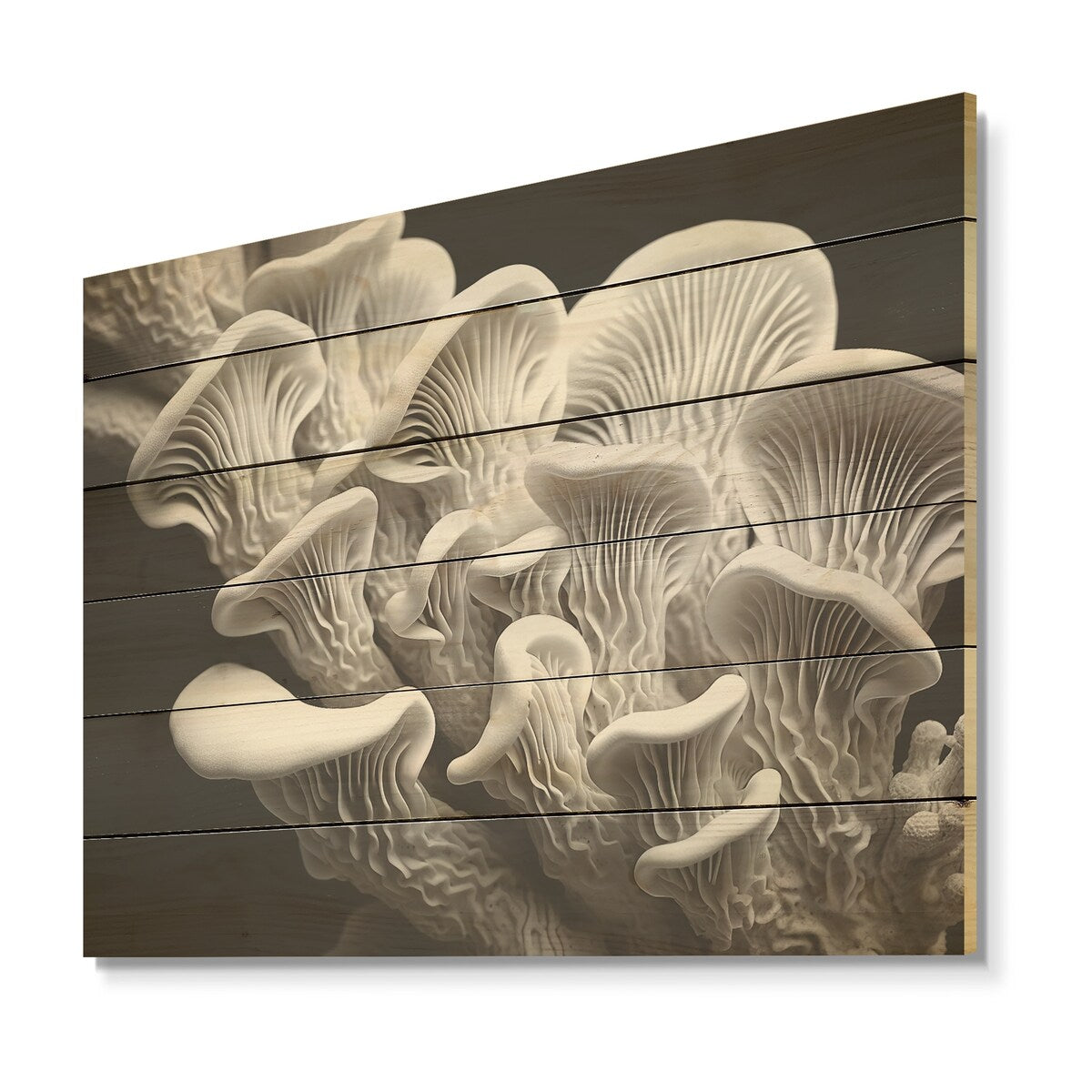 DESIGN ART "Black And White Anemone Reef" Coastal Coral Under Water Wood Wall Decor Grey Wood Panel On Natural Pine Wood