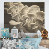 DESIGN ART "Black And White Anemone Reef" Coastal Coral Under Water Wood Wall Decor Grey Wood Panel On Natural Pine Wood