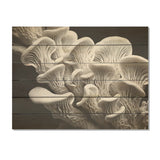 DESIGN ART "Black And White Anemone Reef" Coastal Coral Under Water Wood Wall Decor Grey Wood Panel On Natural Pine Wood