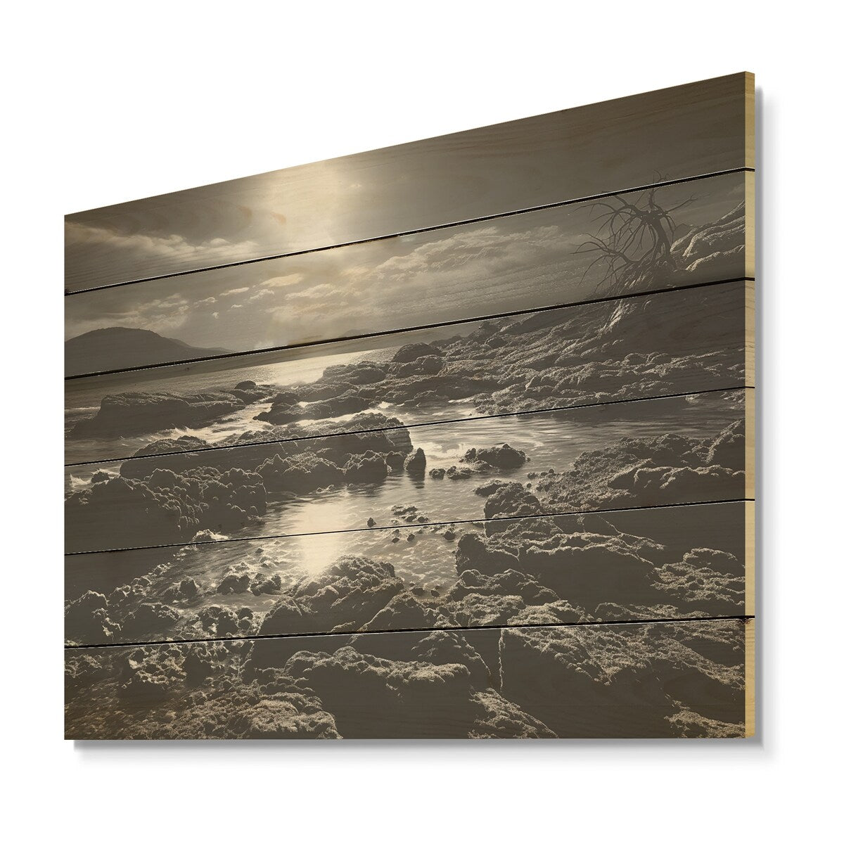 DESIGN ART "Black And White Rocky Beach" Coastal Coral Under Water Wood Wall Decor Black Wood Panel On Natural Pine Wood