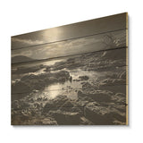DESIGN ART "Black And White Rocky Beach" Coastal Coral Under Water Wood Wall Decor Black Wood Panel On Natural Pine Wood