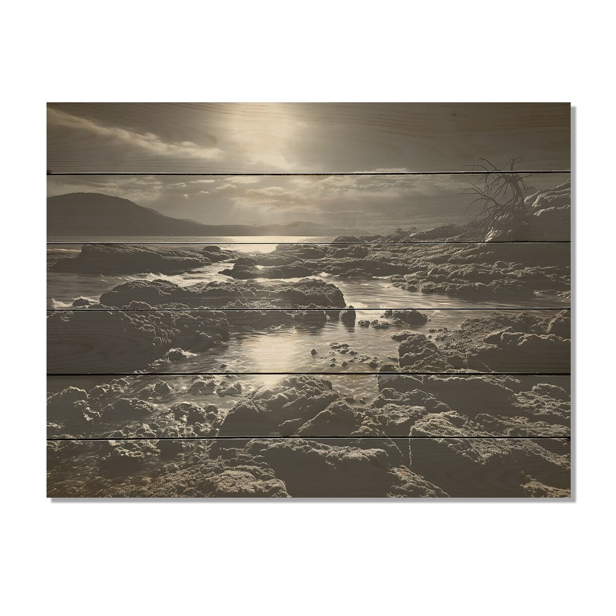 DESIGN ART "Black And White Rocky Beach" Coastal Coral Under Water Wood Wall Decor Black Wood Panel On Natural Pine Wood