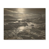 DESIGN ART "Black And White Rocky Beach" Coastal Coral Under Water Wood Wall Decor Black Wood Panel On Natural Pine Wood