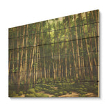 DESIGN ART "Dynamic Light Bamboo Grove" Bamboo Wood Wall Decor - Traditional Green Wood Panel On Natural Pine Wood