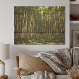 DESIGN ART "Dynamic Light Bamboo Grove" Bamboo Wood Wall Decor - Traditional Green Wood Panel On Natural Pine Wood