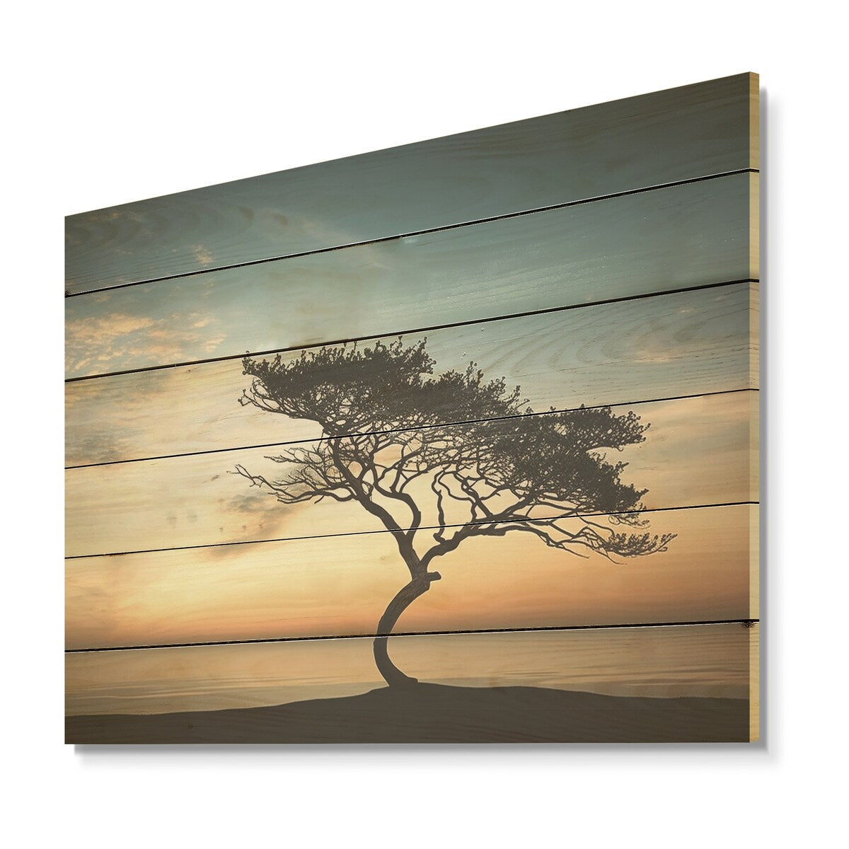 DESIGN ART "Monochrome Black And White Tree Skyline I" Coastal Sunset Wall Art Wood Panel On Natural Pine Wood