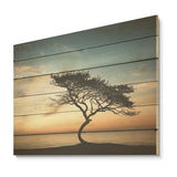 DESIGN ART "Monochrome Black And White Tree Skyline I" Coastal Sunset Wall Art Wood Panel On Natural Pine Wood