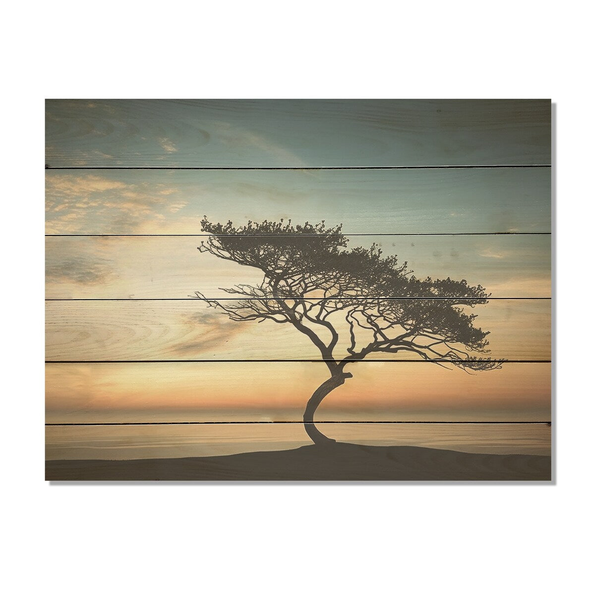 DESIGN ART "Monochrome Black And White Tree Skyline I" Coastal Sunset Wall Art Wood Panel On Natural Pine Wood