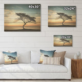 DESIGN ART "Monochrome Black And White Tree Skyline I" Coastal Sunset Wall Art Wood Panel On Natural Pine Wood